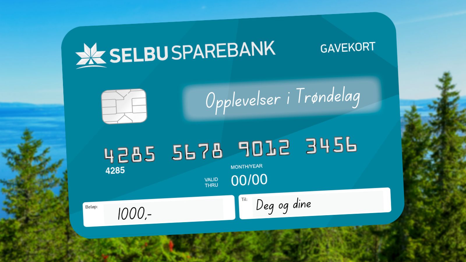 Sommerkonkurranse | Selbu Sparebank